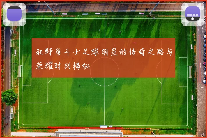 狂野角斗士足球明星的传奇之路与荣耀时刻揭秘