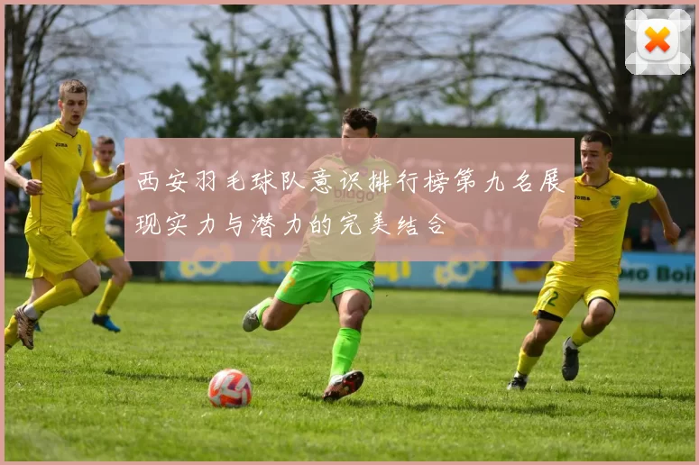 西安羽毛球队意识排行榜第九名展现实力与潜力的完美结合